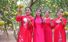 Mùa bưởi ở xã Phúc Lộc | Hà Nội đến để yêu | 22/12/2025