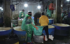 Chợ cá lớn nhất Hà Nội đang xuống cấp nghiêm trọng