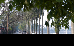Nguyễn Đình Thi - con phố thơ mộng bên Hồ Tây | Hà Nội đến để yêu | 16/01/2026