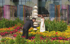 Vườn hoa ven sông TP.HCM khoe sắc Tết