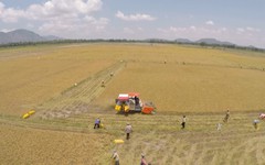 Đẩy mạnh xuất khẩu nông sản vào thị trường Pháp