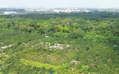 Đẩy nhanh GPMB dự án Khu Công viên công nghệ số