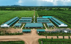 Thaco Agri bị phạt 92,5 triệu đồng do công bố thông tin chậm