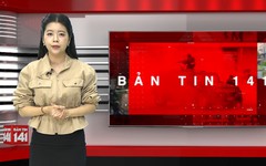 Bản tin 141 | 06/10/2026