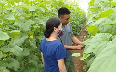 Hà Nội phấn đấu thành lập mới từ 150 hợp tác xã năm 2027