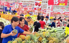 Sản xuất và tiêu dùng nội địa ở mức cao