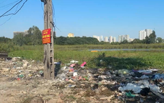 Tái diễn bãi rác tự phát tại phố Sa Đôi