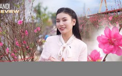 Về làng Nhật Tân chọn đào chơi Tết | HANOI Review | 07/02/2026