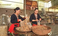 Giữ bản sắc, tạo sinh kế - Hướng đi bền vững cho văn hóa dân tộc thiểu số ở Thủ đô