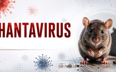 Bộ Y tế cập nhật thông tin về bệnh do virus Hanta