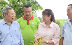 Người góp phần nâng tầm giá trị cho hạt gạo Việt | Người tốt quanh ta | 08/06/2026
