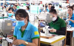 Trốn đóng bảo hiểm xã hội bắt buộc bị phạt tới 75 triệu đồng