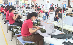 Phạt tới 70 triệu đồng khi mua bán dữ liệu về người lao động