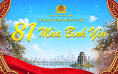 Chương trình nghệ thuật chính luận '81 mùa bình yên'