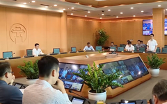 Bàn giao nguyên hiện trạng đất nông lâm trường trước 15/9
