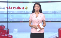 Bản tin Kinh tế Tài chính | 08/08/2026
