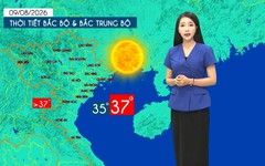 Dự báo thời tiết tối | 09/08/2026