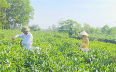 Thay đổi tư duy để làm nông nghiệp xanh | Chuyển đổi xanh | 19/09/2026