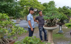 Nông nghiệp Hà Nội trong dòng chảy chuyển đổi số | Nông nghiệp và Môi trường | 20/09/2026