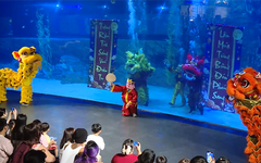 Trung Thu độc đáo dưới lòng đại dương xanh thẳm