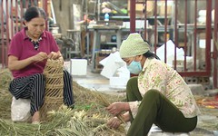 Tận dụng nguồn lực từ lao động người cao tuổi