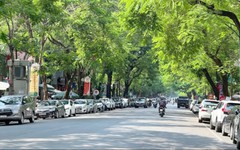 Thời tiết Hà Nội dịu mát