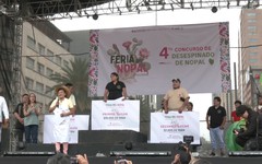 Thử tài tách gai xương rồng ở Mexico