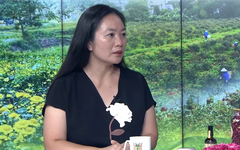 Bỏ phố về quê làm hữu cơ | Con đường doanh nhân | 06/09/2026