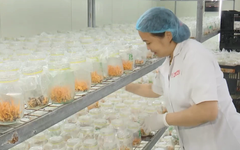 Chuyển đổi xanh từ cách thức sản xuất | Chuyển đổi xanh | 05/09/2026