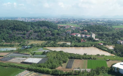 Quy hoạch sông Hồng: 265ha phục vụ tái định cư tại chỗ