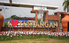 Philippines: Biến 10.000 chai nhựa thành vườn tulip rực rỡ