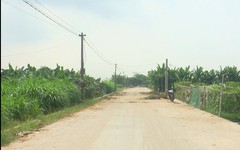 Hiến đất mở đường, góp phần xây dựng quê hương | Người tốt quanh ta | 29/10/2026