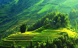 Du lịch Mộc Châu – Động lực tăng trưởng mới của Sơn La