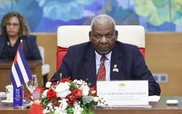 Việt Nam-Cuba: mối quan hệ 'mẫu mực' trong quan hệ quốc tế