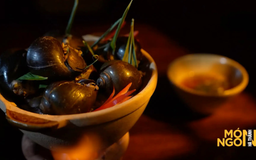 Ốc hấp lá gừng | Món ngon ở Hà Thành | 09/10/2025