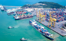 Thúc đẩy chuyển đổi xanh, nâng cao năng lực cạnh tranh