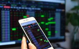 Cổ phiếu blue-chips bùng nổ, đẩy VN-Index tạo kỷ lục mới