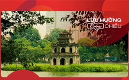 Hà Nội nơi tìm về