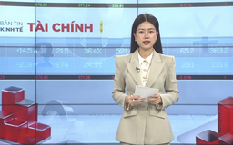 Bản tin Kinh tế Tài chính | 11/10/2025