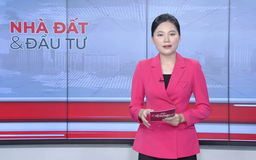 Bản tin Nhà đất và đầu tư | 11/10/2025