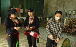 Gìn giữ và phát huy tinh hoa thuốc Nam Ba Vì | Người tốt quanh ta | 12/10/2025