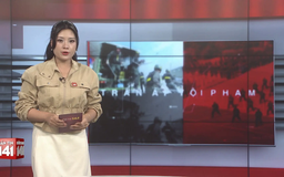 Bản tin 141 | 12/10/2025