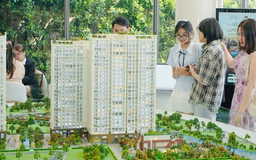 Doanh nghiệp BĐS không được ủy quyền đặt cọc, mua bán BĐS