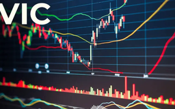 VIC lần đầu vượt mốc 200.000 đồng/cp, tăng hơn 400%