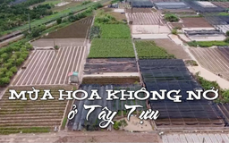 Mùa hoa không nở ở Tây Tựu | Nhịp sống Hà Nội | 13/10/2025