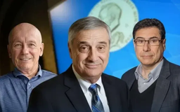 Công bố ba chủ nhân của giải Nobel Kinh tế 2025
