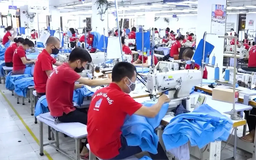 Động thái chuyển đổi số của doanh nghiệp ngành may | Phóng sự | 10/10/2025