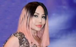 Lynda Trang Đài không bị kết án hình sự ở Mỹ
