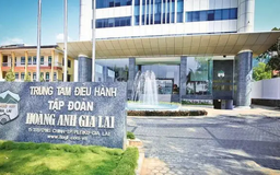 HAGL chuyển nợ thành vốn góp tại Hưng Thắng Lợi Gia Lai