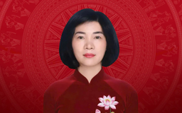 Tóm tắt tiểu sử Phó Bí thư Thành ủy Hà Nội Phùng Thị Hồng Hà